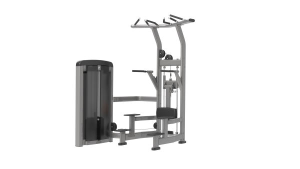 پارالل و بارفیکس کمک‌دار- الین پارسه