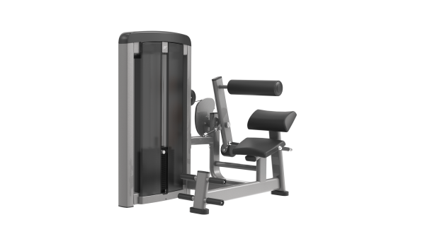 دستگاه فیله کمر ماشین لایف فیتنس- الین پارسه