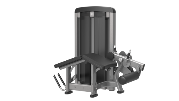 پشت پا خوابیده- الین پارسه