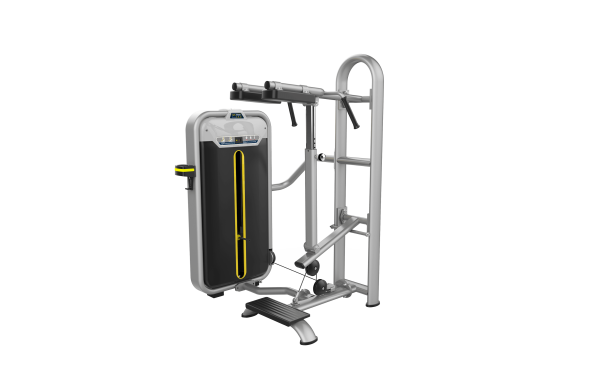 ساق پا ایستاده - الین پارسه