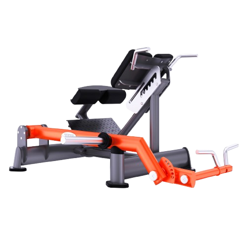 گلوت هم ریز وزنه آزاد (Glute Ham Raise / GHD)-الین پارسه