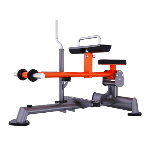 ساق پا نشسته (Seated Calf Raise) - الین پارسه