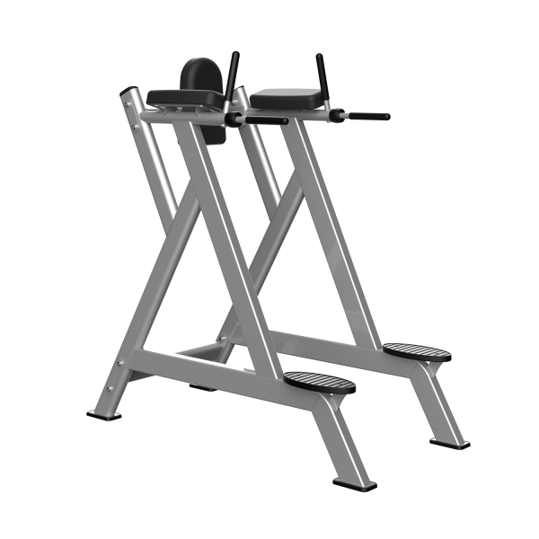 خلبانی و پارالل (Vertical Knee Raise / Dip Station) - الین پارسه