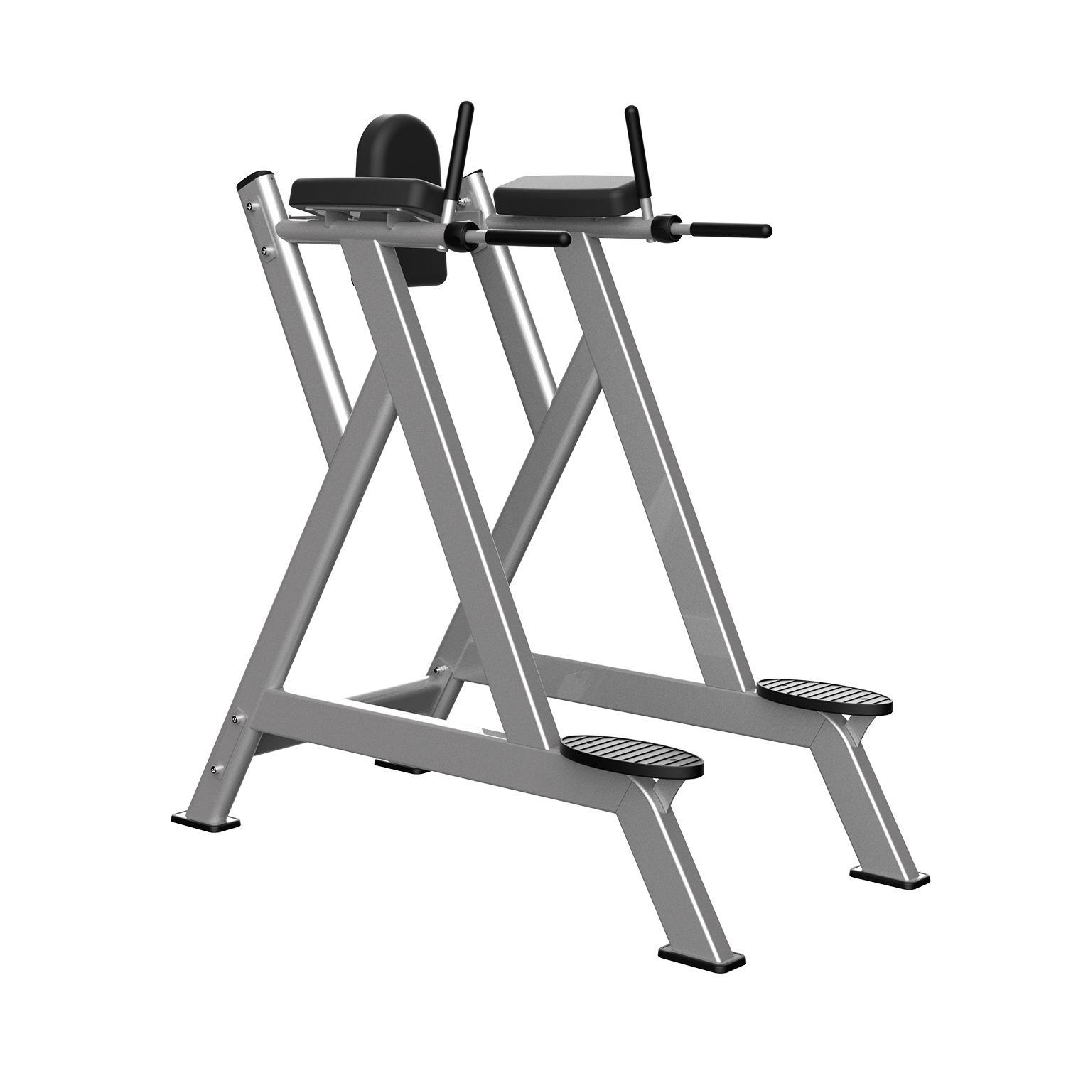 خلبانی و پارالل (Vertical Knee Raise / Dip Station) - الین پارسه