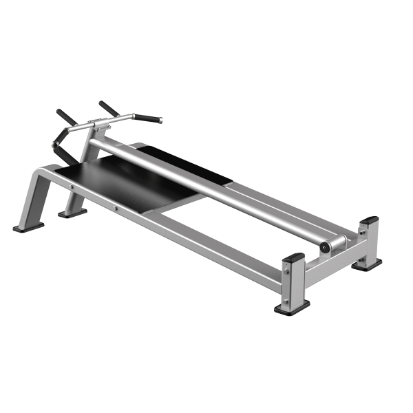 زیربغل تی‌بار ایستاده (Standing T-Bar Row)- الین پارسه