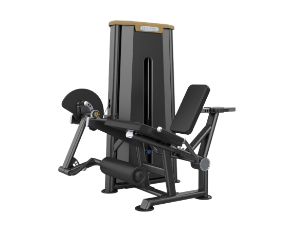 جلو ران ماشین (Leg Extension)- الین پارسه