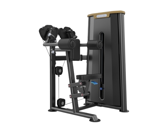نشر جانب ماشین (Lateral Raise)- الین پارسه