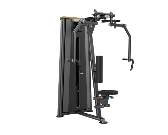 فلای سینه / سرشانه معکوس (Pec Fly / Rear Delt)- الین پارسه