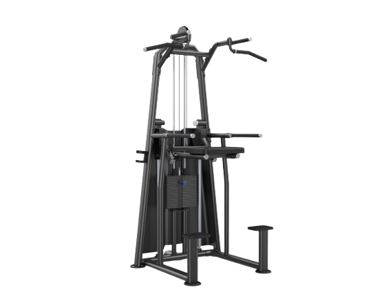 بارفیکس و پارالل کمک‌دار (Dip / Chin Assist)- الین پارسه