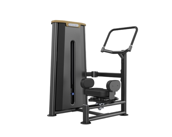 مسگری ماشین / چرخش تنه (Rotary Torso)- الین پارسه