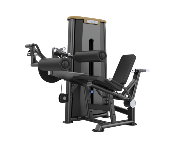 پشت ران نشسته (Seated Leg Curl)- الین پارسه