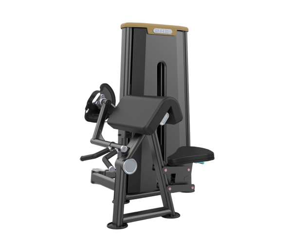 جلو بازو لاری ماشین (Biceps Curl)- الین پارسه