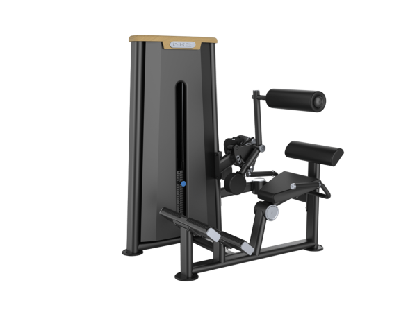 فیله کمر ماشین (Back Extension)- الین پارسه