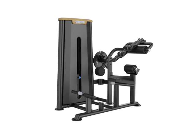 شکم و فیله کمر دوکاره (Abdominal & Back Extension)- الین پارسه